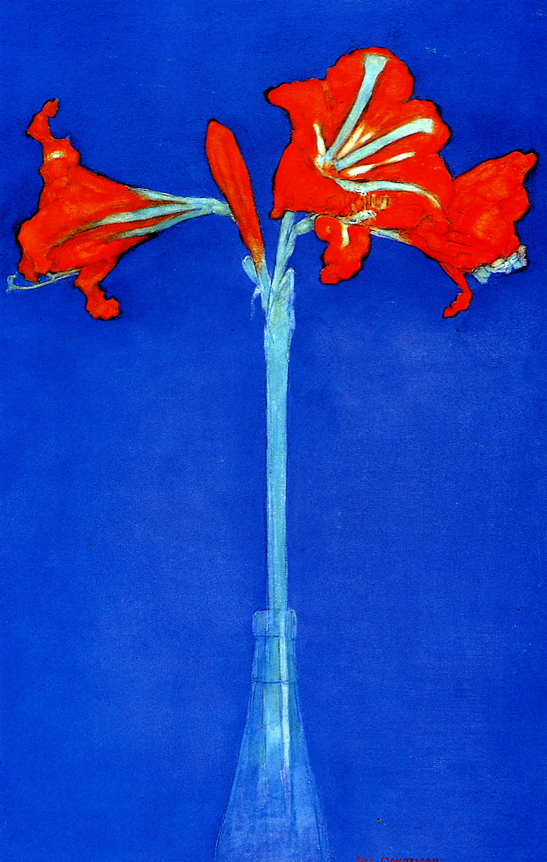 Amaryllis 孤挺花