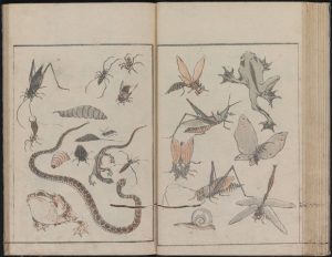 葛饰北斋：介绍(图4)