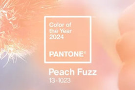 潘通PANTONE 2024年度流行色：