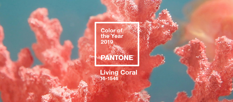 pantone-color-of-the-year-2019-living-coral.jpg