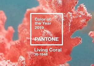 Pantone2019年度代表色:PAN