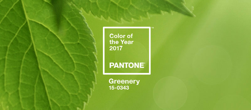 COY2017-Greenery_3.jpg