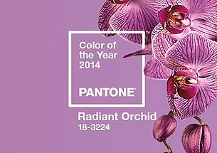 Pantone2014年度代表色：PAN