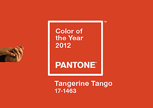 Pantone2012年度代表色：PAN