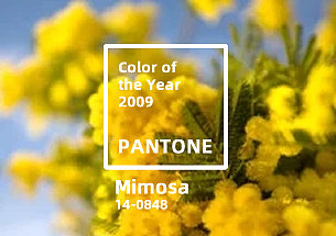 Pantone2009年度代表色：PAN