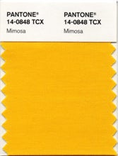 Pantone2009年度代表色：PANTONE 14-0848 Mimosa含羞草黄(图1)
