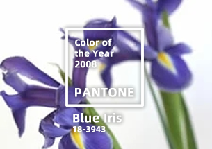 Pantone2008年度代表色：PANTONE 18-3943 Blue Iris 鸢尾蓝