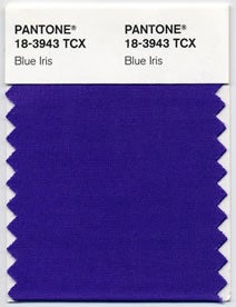 Pantone2008年度代表色：PANTONE 18-3943 Blue Iris 鸢尾蓝(图1)