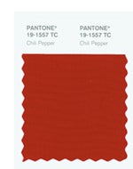 Pantone2007年度代表色：PANTONE 19-1557 Chili Pepper 辣椒红(图2)