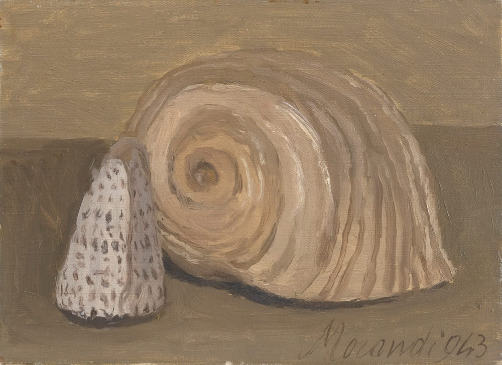 Still life(Natura morta) 静物