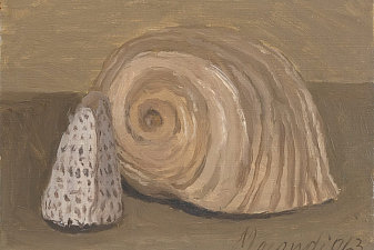 Still life(Natura morta)