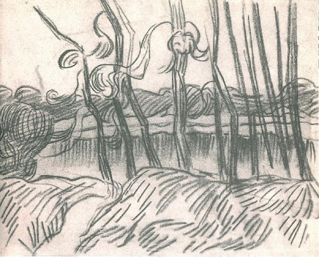 A Row of Bare Trees 
