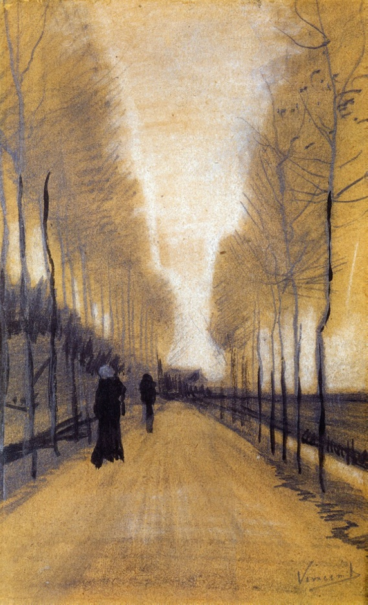 Alley Bordered by Trees 