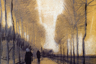 Alley Bordered by Trees