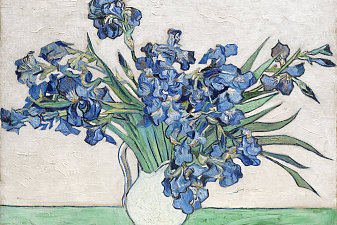 Vase with Irises