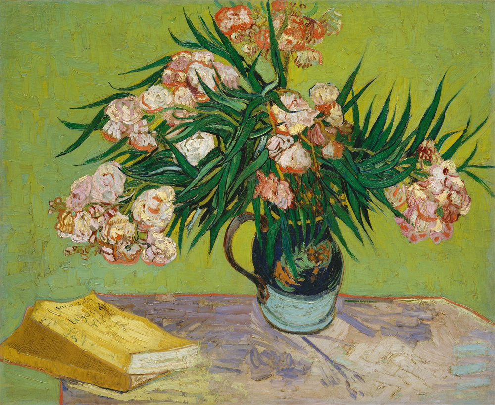 Oleanders and Books 