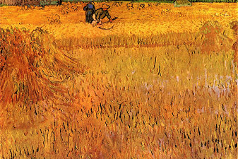 Arles View from the Wheat Fields