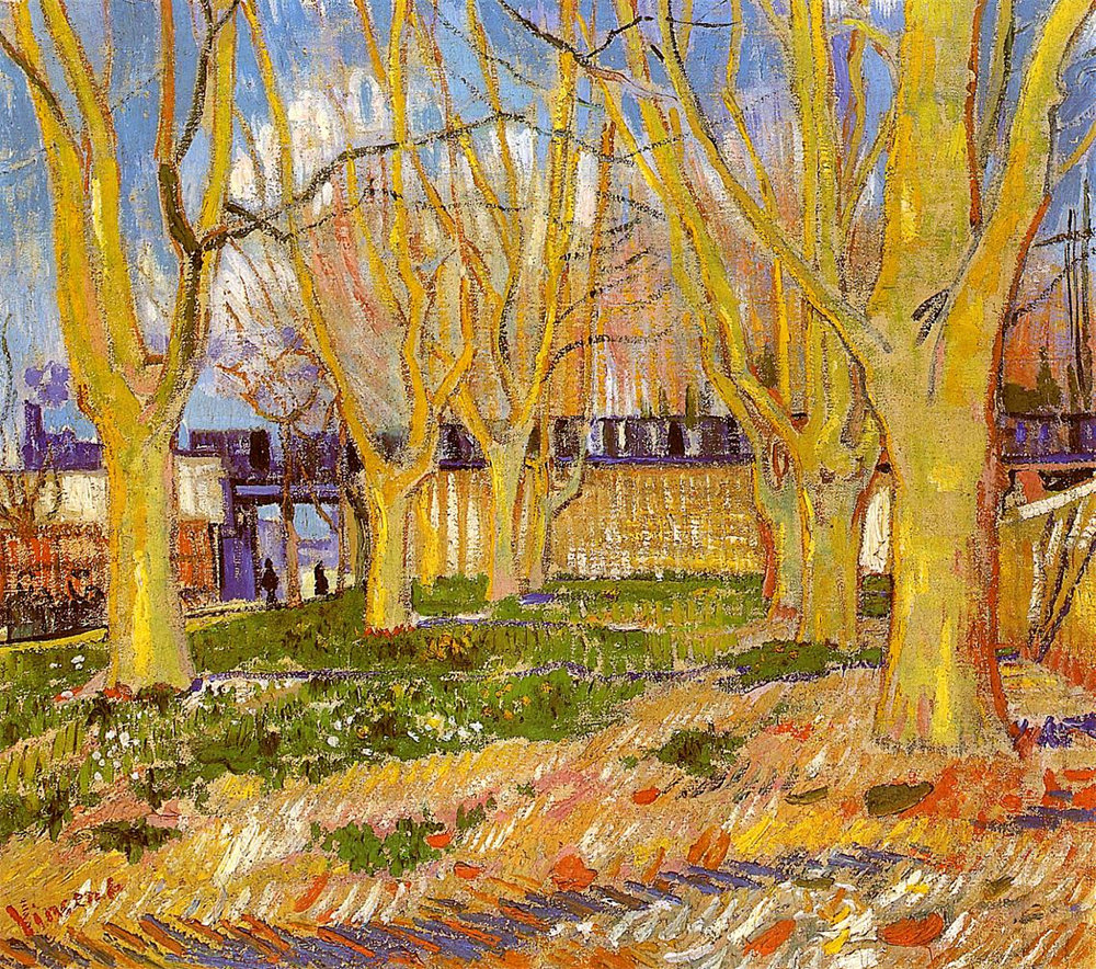 Avenue of Plane Trees near Arles Station 