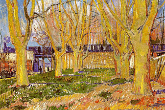 Avenue of Plane Trees near Arles Station