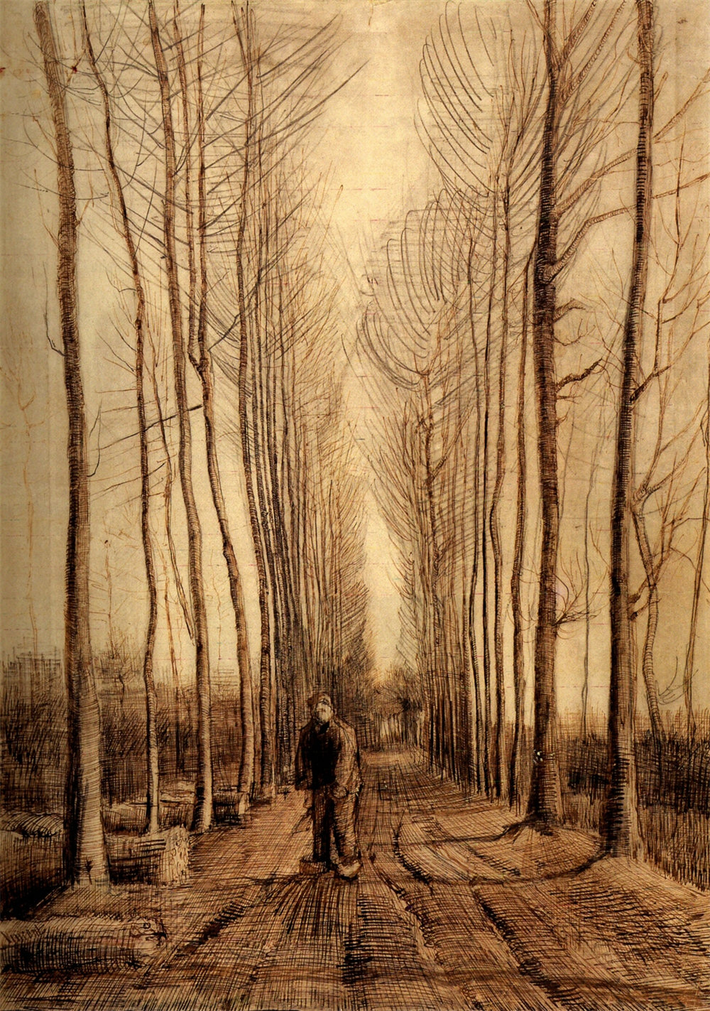 Avenue of Poplars 
