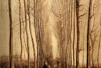 Avenue of Poplars