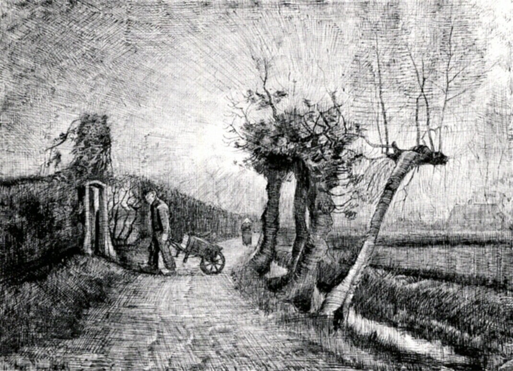 Behind the Hedges 