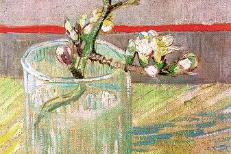 Blossoming Almond Branch in a Glass