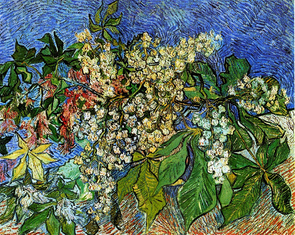 Blossoming Chestnut Branches 