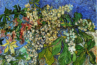 Blossoming Chestnut Branches