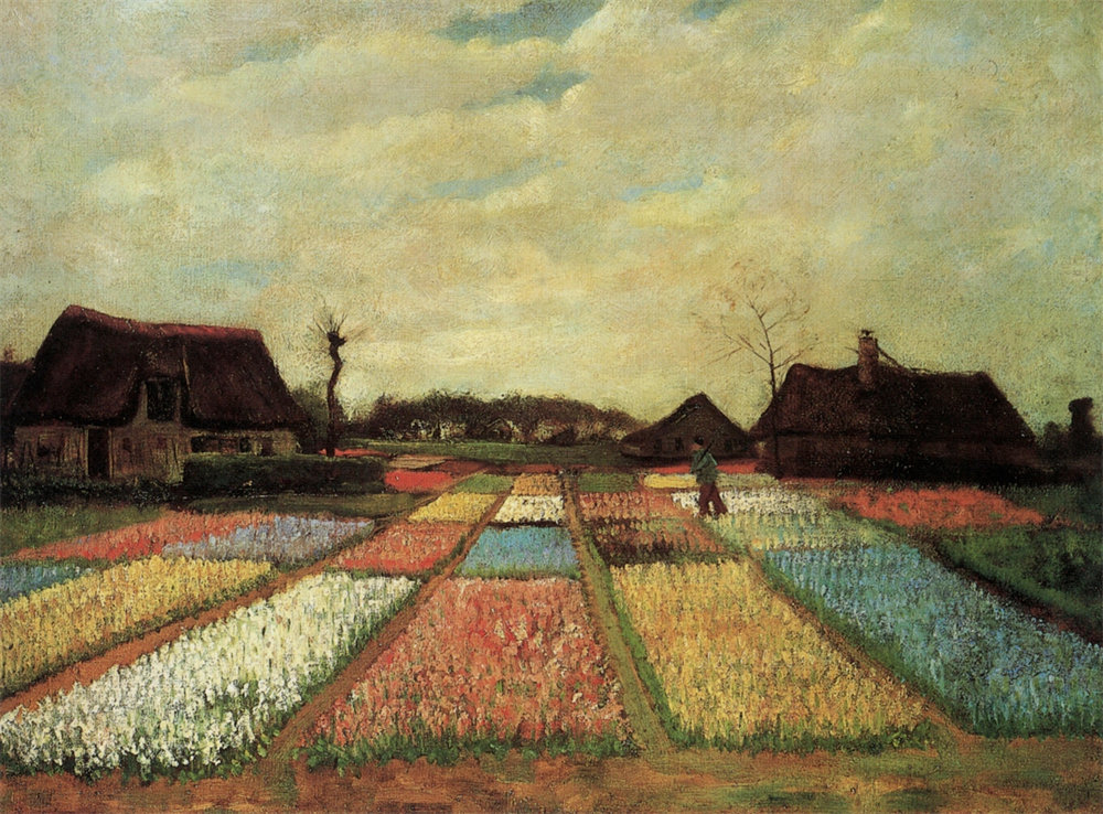 Bulb Fields 