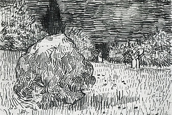 Bush in the Park at Arles