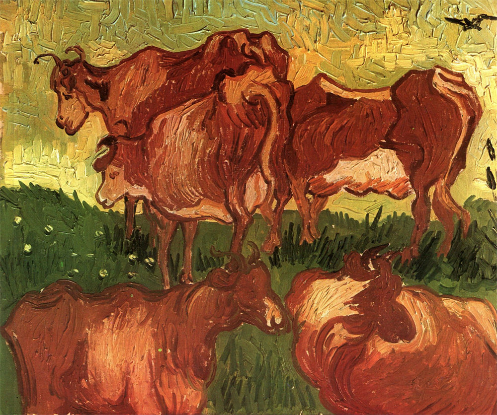 Cows 
