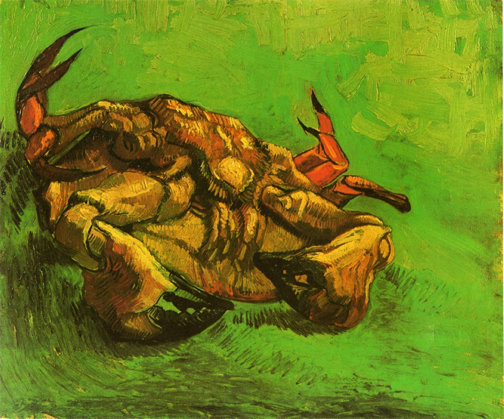 Crab on It`s Back 