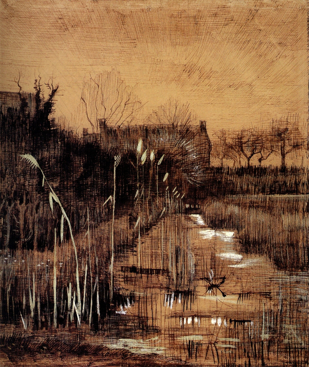Ditch 