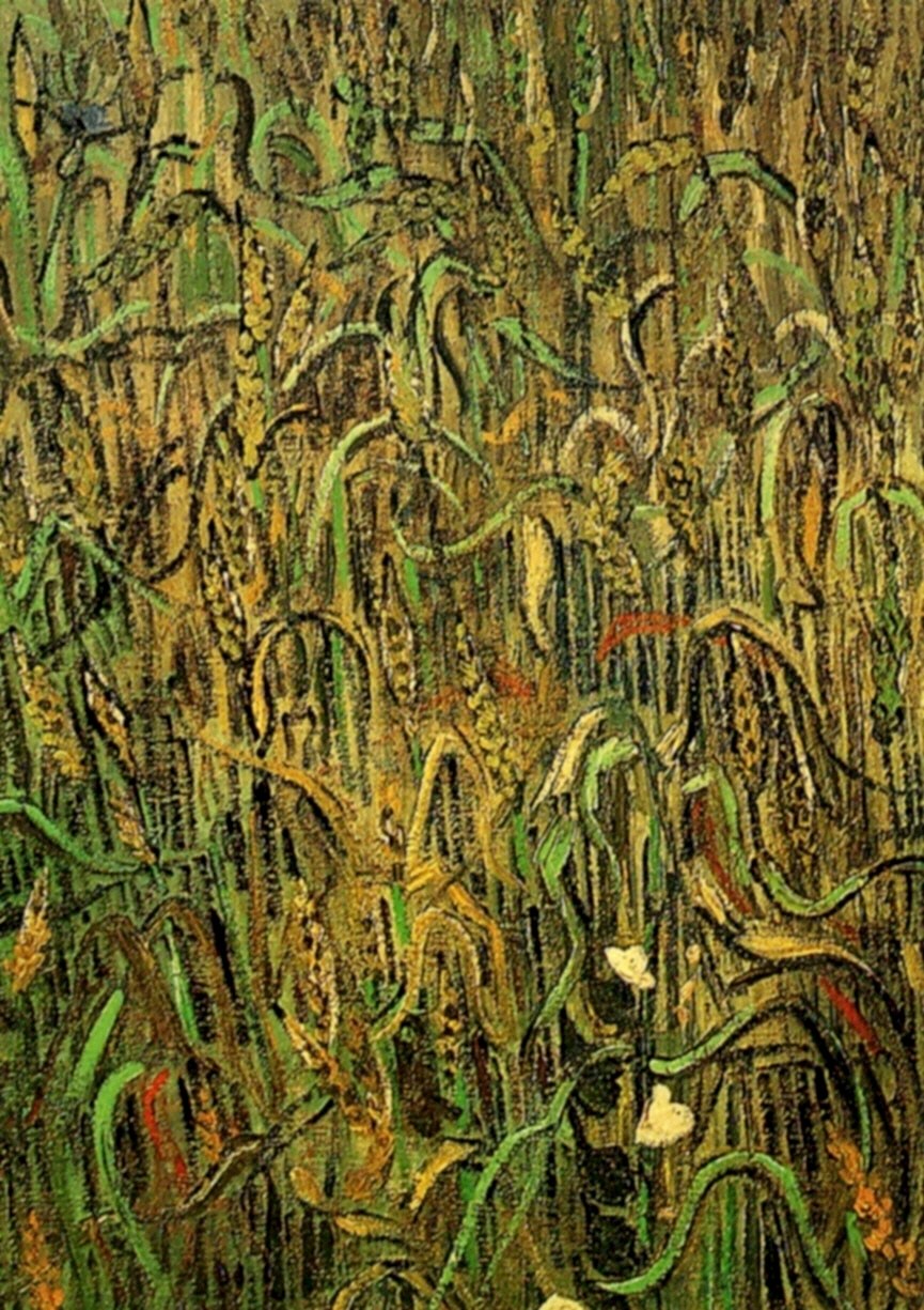 Ears of Wheat 