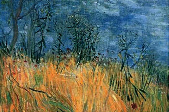 Edge of a Wheatfield with Poppies