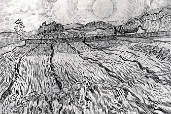 Enclosed Field behind Saint-Paul Hospital