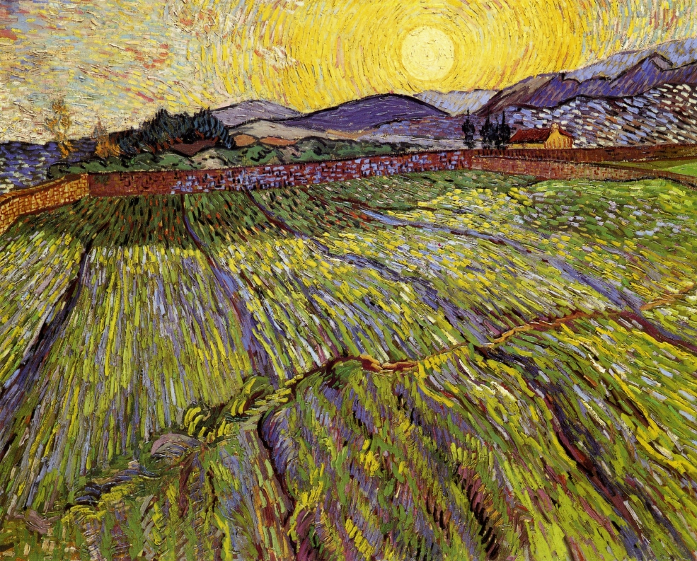 Enclosed field with rising sun 