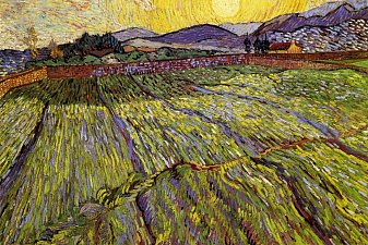 Enclosed field with rising sun