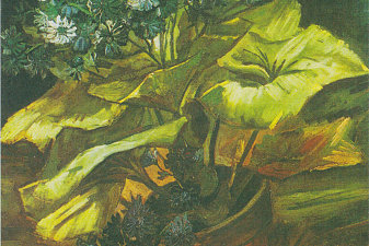 Flower Pot with Asters