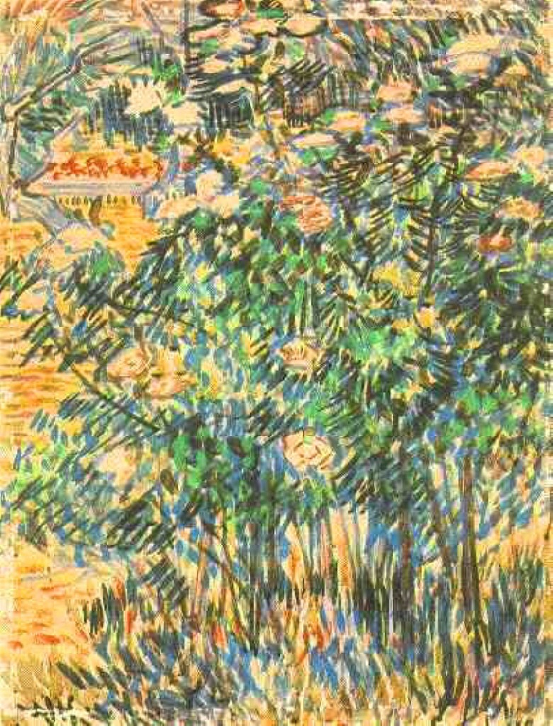 Flowering Shrubs 