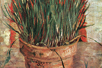 Flowerpot with Chives