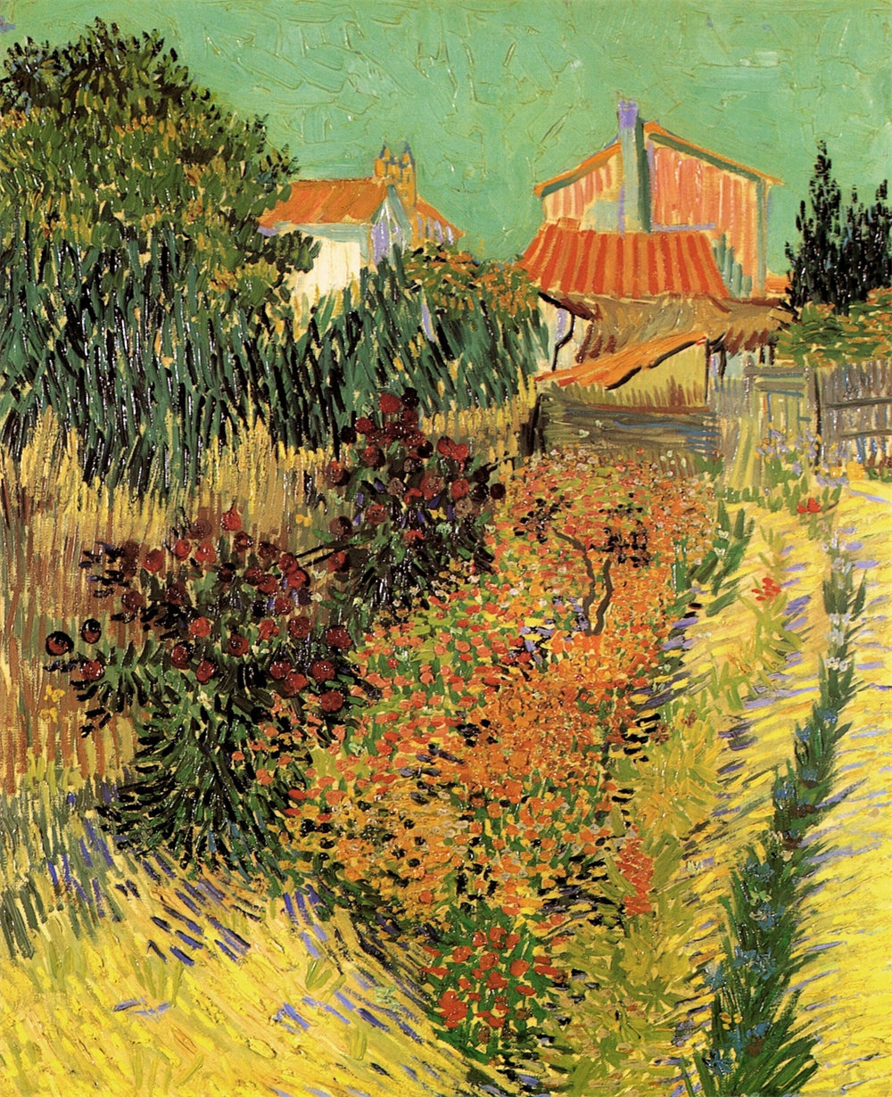 Garden Behind a House 