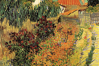 Garden Behind a House