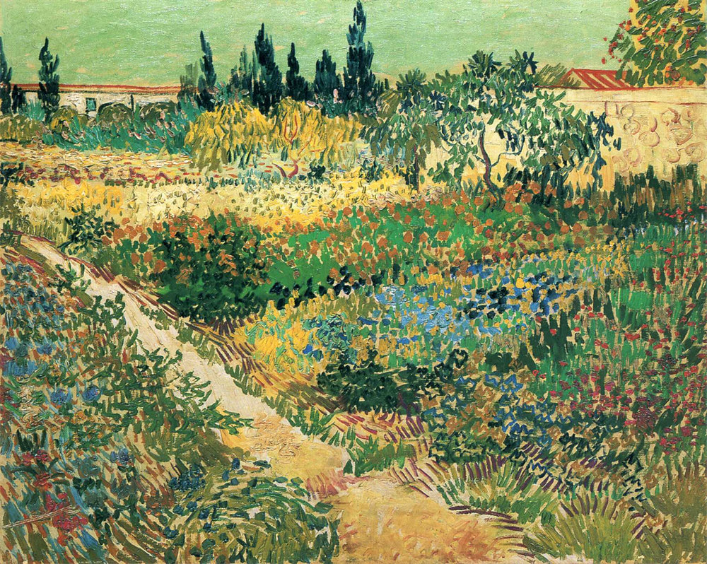 Garden with Flowers 