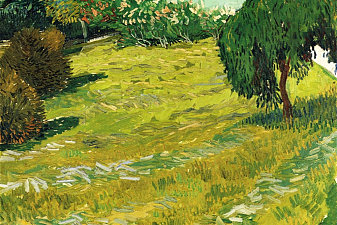 Garden with Weeping Willow