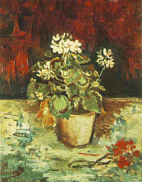 Geranium in a Flowerpot 
