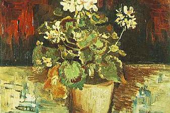 Geranium in a Flowerpot