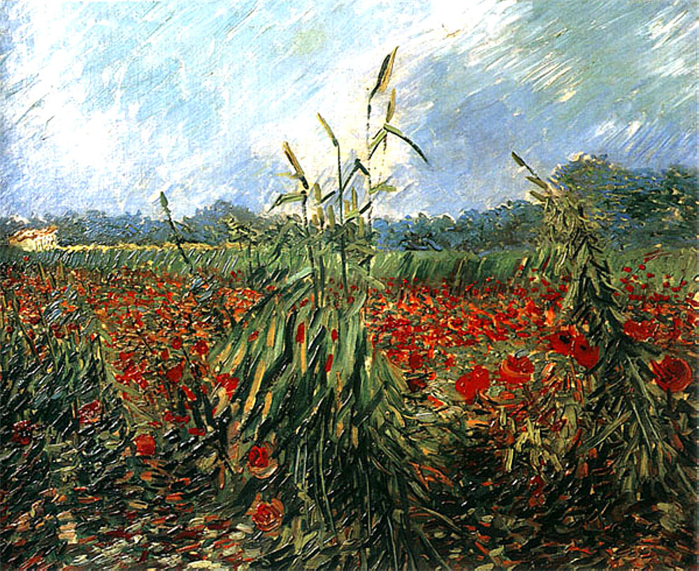 Green Ears of Wheat 