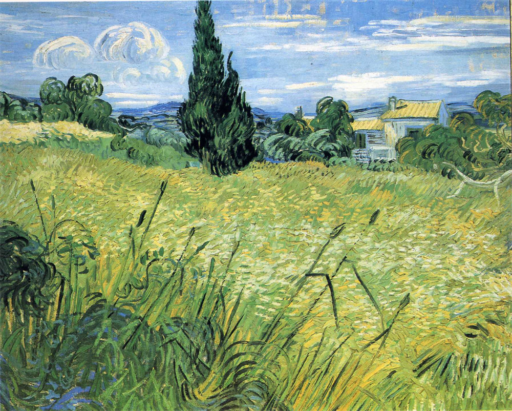 Green Wheat Field with Cypress 